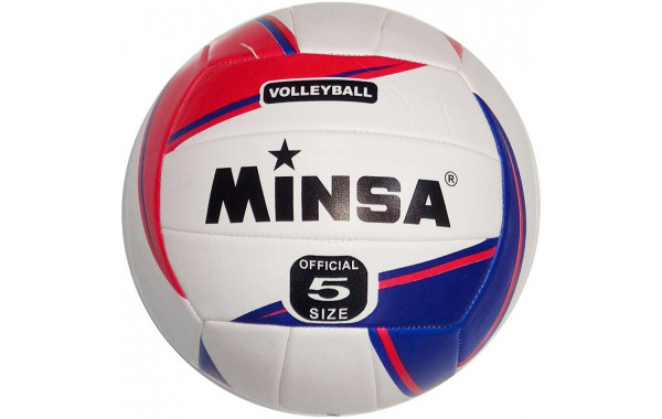 Мяч волейбольный Minsa E29211-1 р.5 600_380