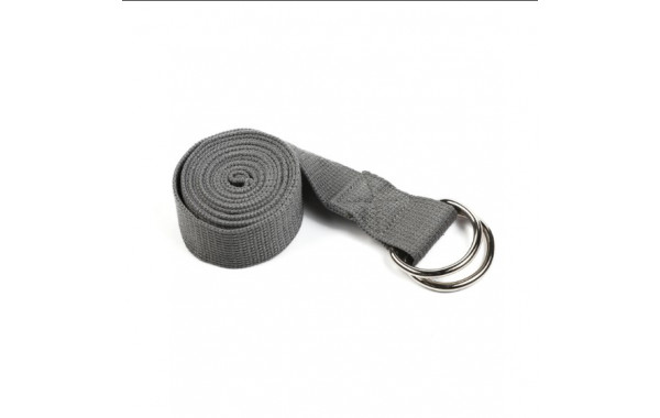 Ремень для йоги с металлическим карабином PRCTZ YOGA STRAP, серый PY7501 600_380