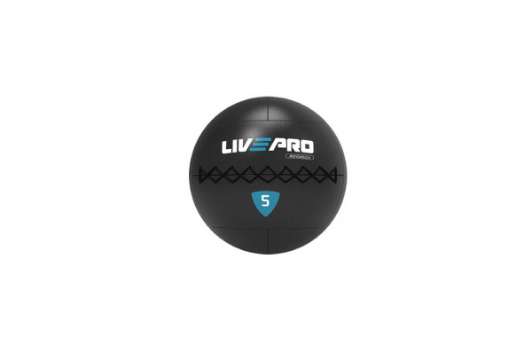 Медбол 7кг Live Pro Wall Ball PRO LP8103-07 600_380