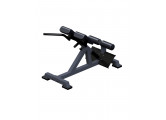 Гиперэкстензия наклонная ARMS ARM026