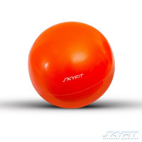 Мяч для пилатес 2кг SkyFit SF-BP-2K