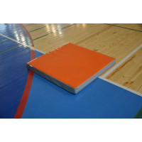 Мат гимнастический 100х50х10 см стандарт (тент)