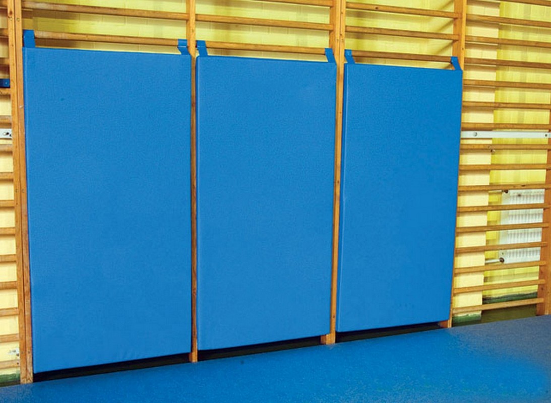 Мат-протектор для стенки гимнастической ФСИ 164х82х6 см, тент 5282 1093_800
