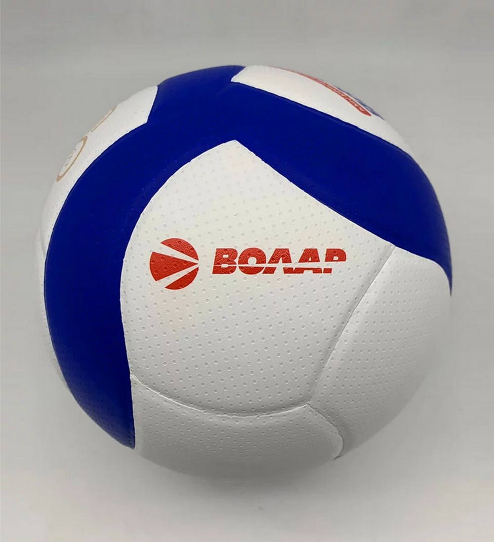 Волейбольный мяч Волар VL-100 1000_1098