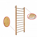 Стенка шведская 240х100см массив.сосна Dinamika ZSO-000078 120_120