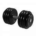 Гантель Профи, 36 кг MB Barbell MB-FdbM-B36 120_120