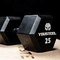 Гантель обрезиненная YouSteel HEX DB 40 кг 120_120