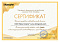 Сертификат на товар Гибкие качели Kampfer